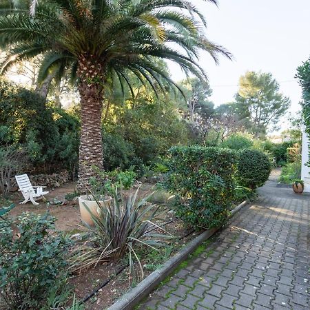 Ferienwohnung Les Pierreplane Bandol Exterior foto